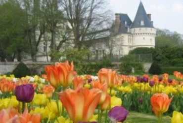 Le château