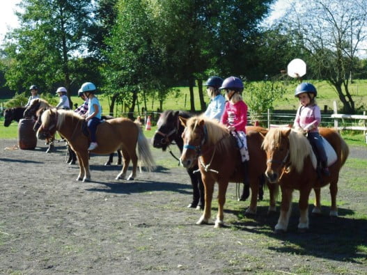 Le poney club propose des initiations à l’équitation