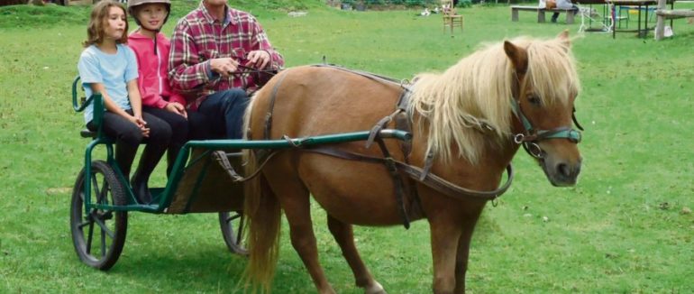 le créateur du poney club va passer la main