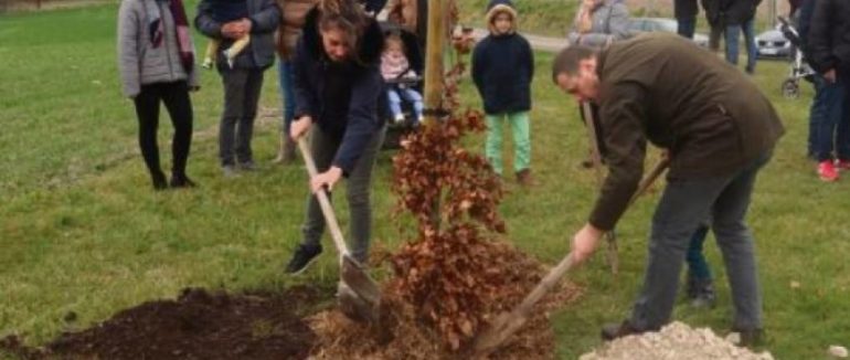 des arbres plantés pour fêter les naissances de l’année