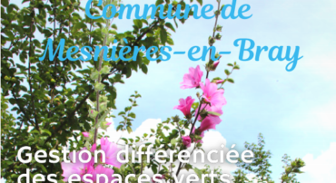 Plan de gestion différenciée des espaces verts