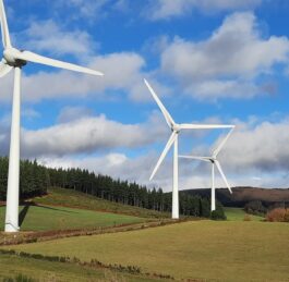 Des éoliennes au-dessus de Mesnières ?